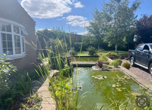 Pond- click for photo gallery